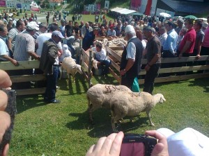Деветта средба  “Ден на одгледувачите на овци и кози”